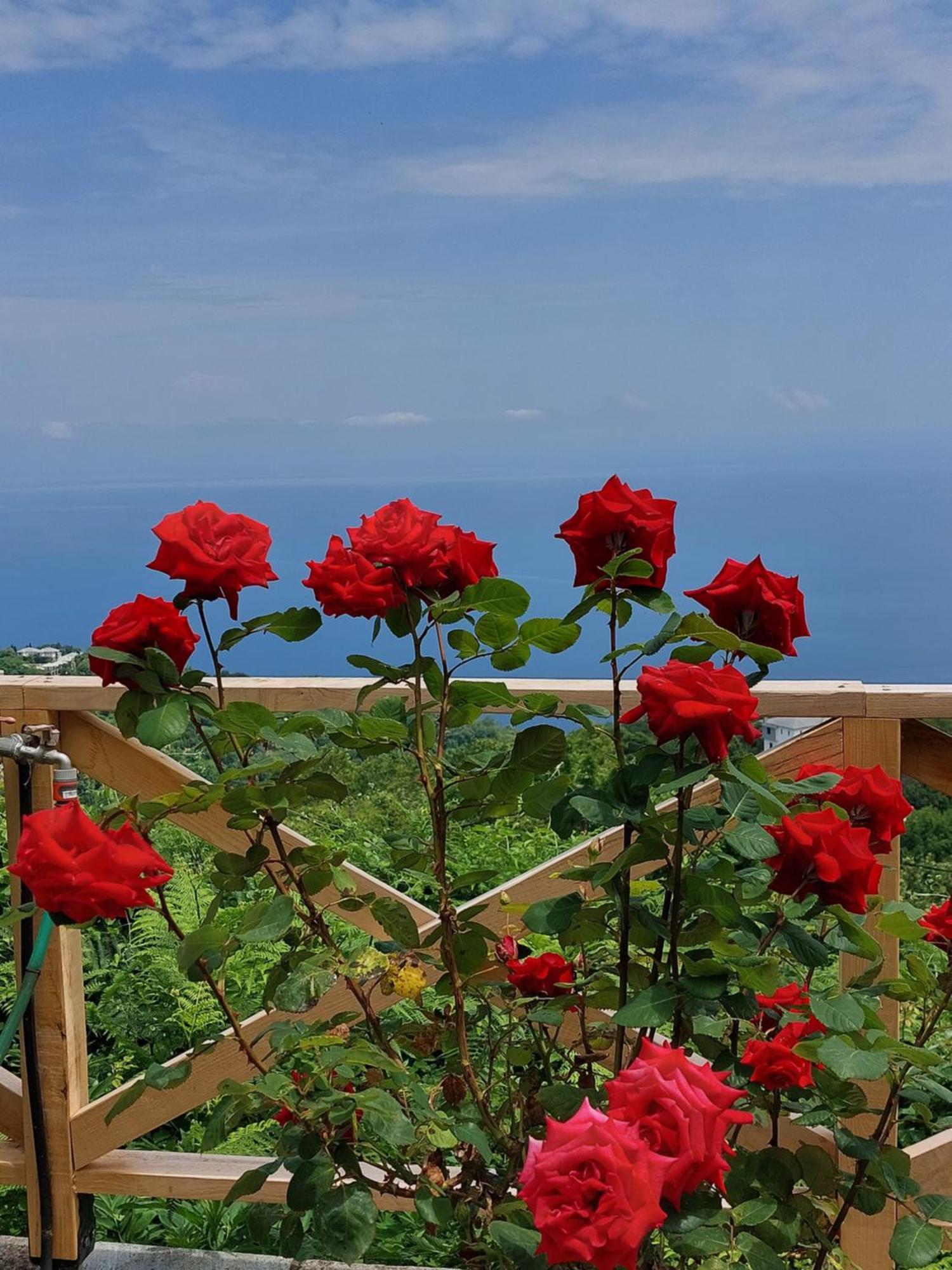 Θαλλώ Luxurious Villa Τσαγκαράδα Εξωτερικό φωτογραφία