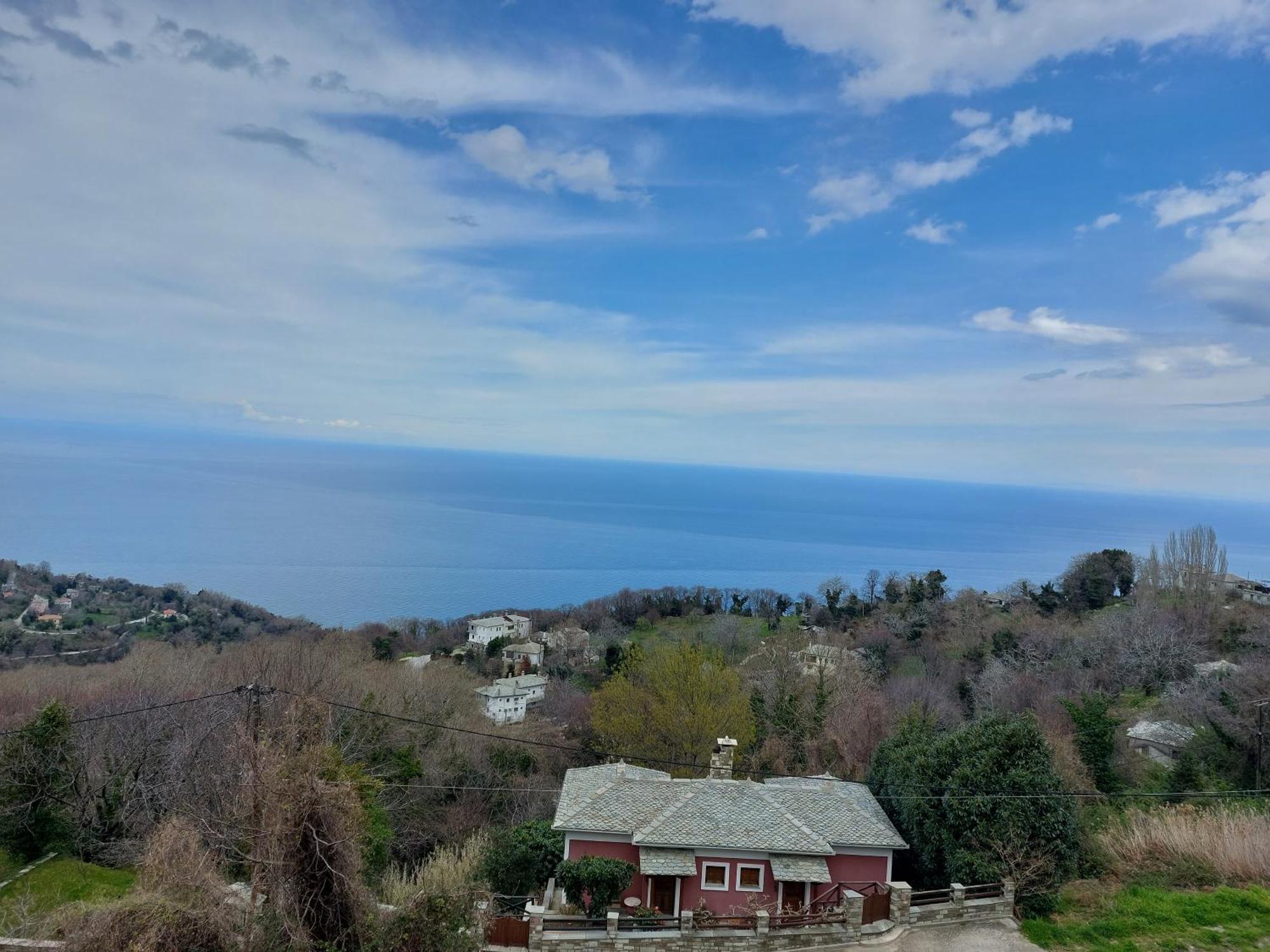 Θαλλώ Luxurious Villa Τσαγκαράδα Δωμάτιο φωτογραφία