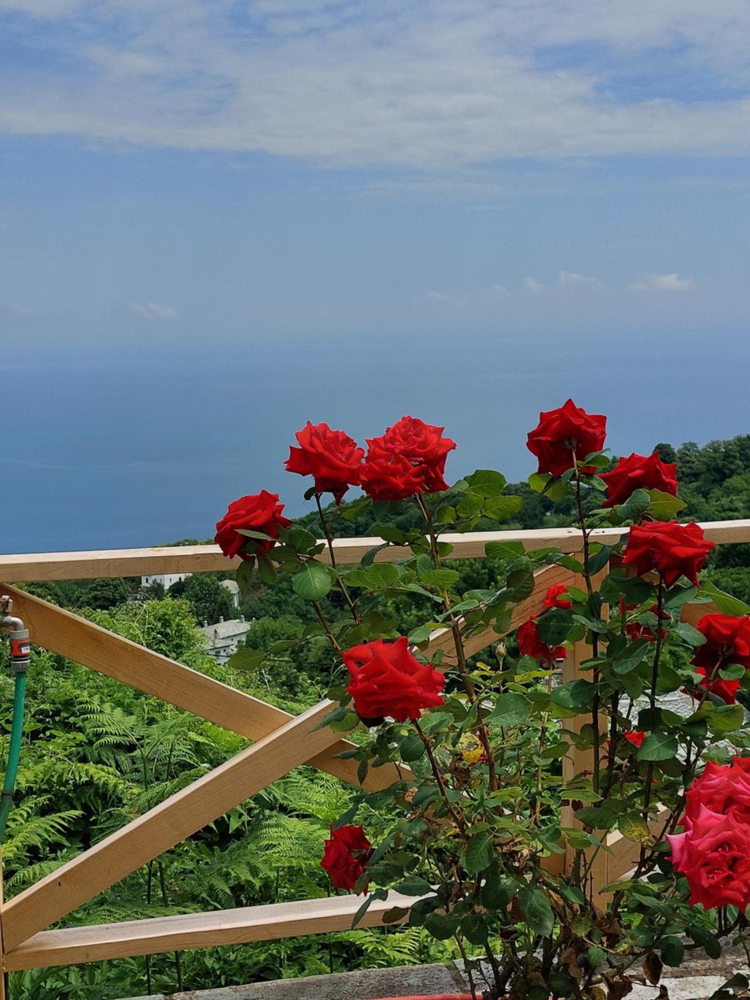 Θαλλώ Luxurious Villa Τσαγκαράδα Δωμάτιο φωτογραφία
