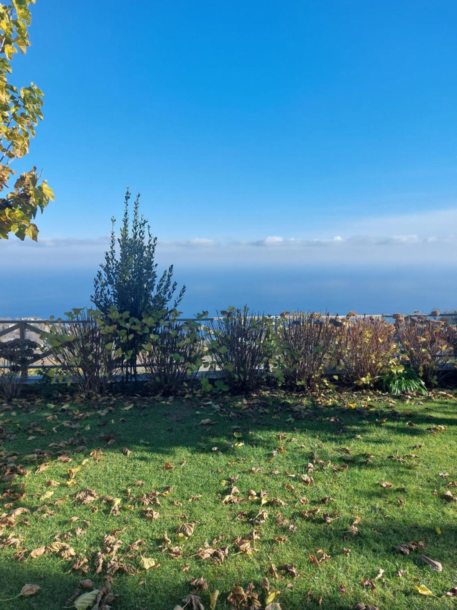 Θαλλώ Luxurious Villa Τσαγκαράδα Δωμάτιο φωτογραφία