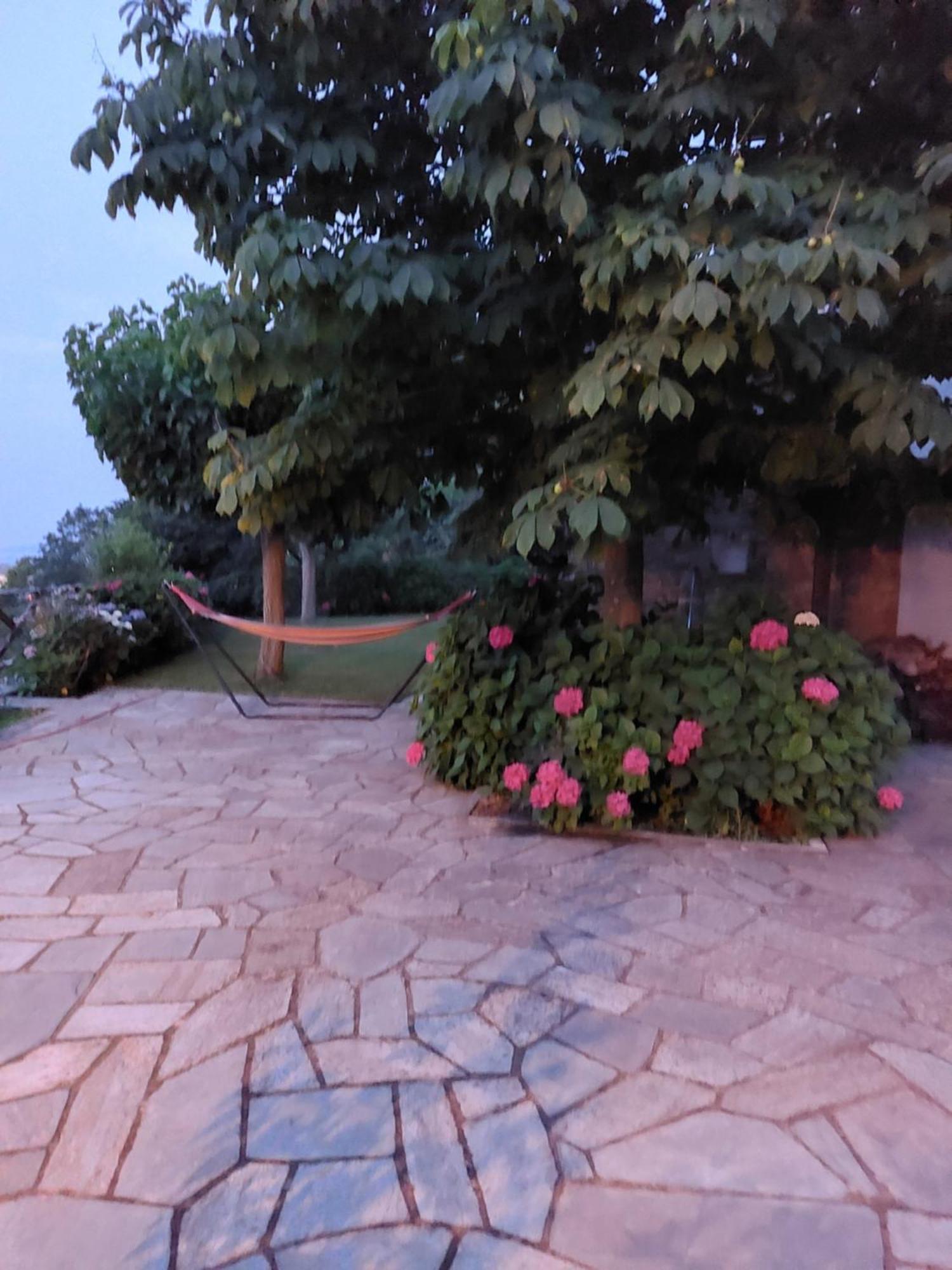 Θαλλώ Luxurious Villa Τσαγκαράδα Εξωτερικό φωτογραφία